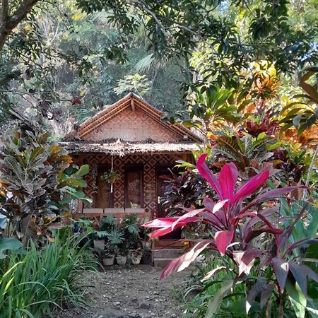 Anik Homestay & Dormy Batukaras Exterior photo